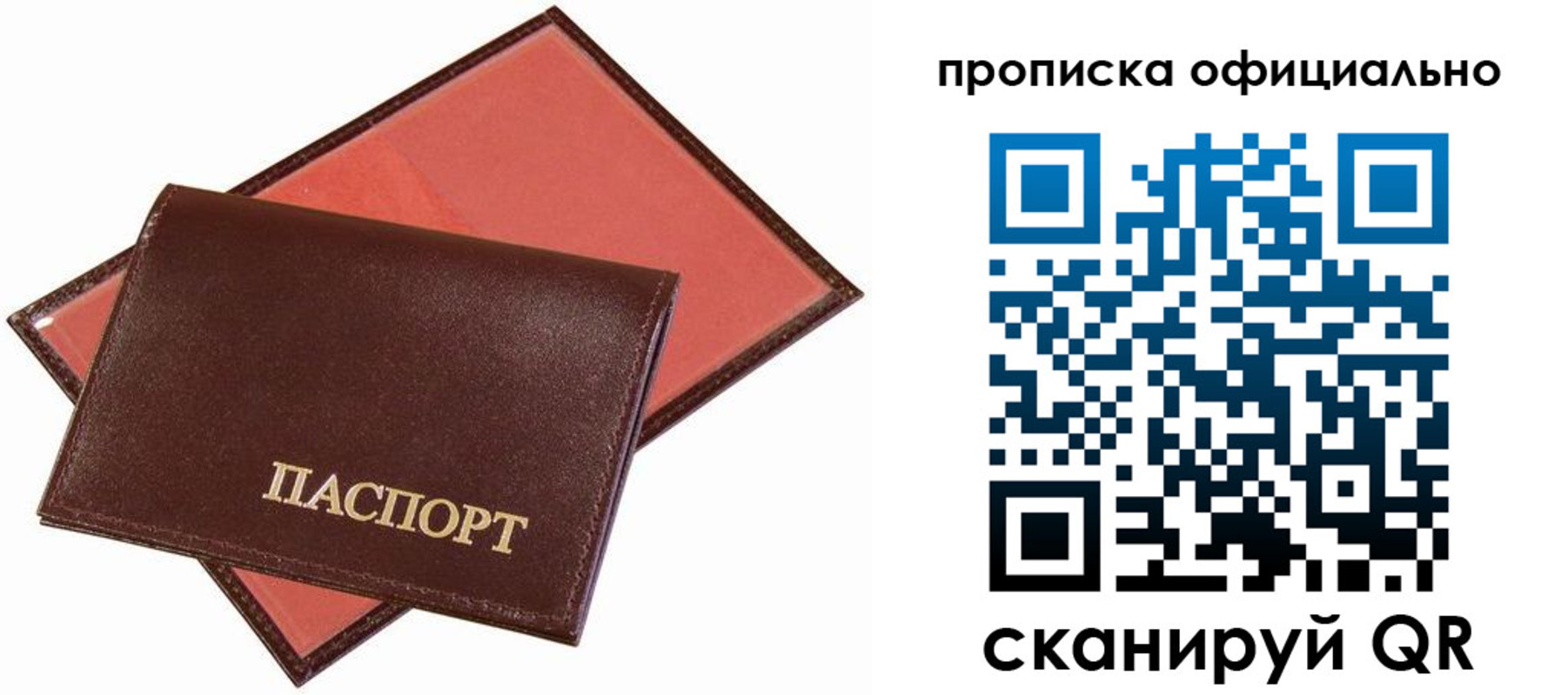 временная регистрация гарантия в Кандалакше